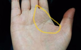 中指算命代表什么(算命中食神代表什么)