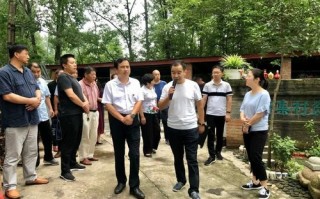 信阳彭家湾算命姓顾(彭家湾算命地址)