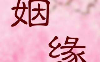 算命算爱情准吗(算命算爱情怎么说)