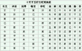 系统让我去算命无标题
