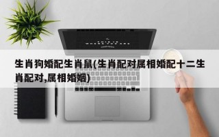 生肖狗婚配生肖鼠(生肖配对属相婚配十二生肖配对,属相婚姻)