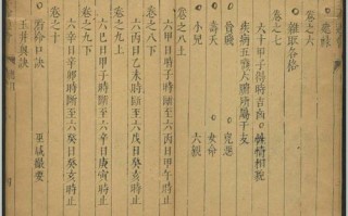 算命说山星高大(算命高大上的说发)