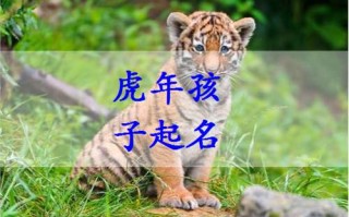 叶楉汐名字算命