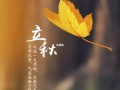 立秋去算命(为什么算命过了立秋算七月)