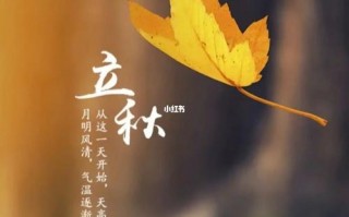 立秋去算命(为什么算命过了立秋算七月)